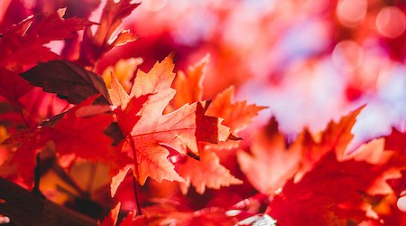 Retrouver la motivation à l’automne : 5 conseils pour garder le moral et la vitalité